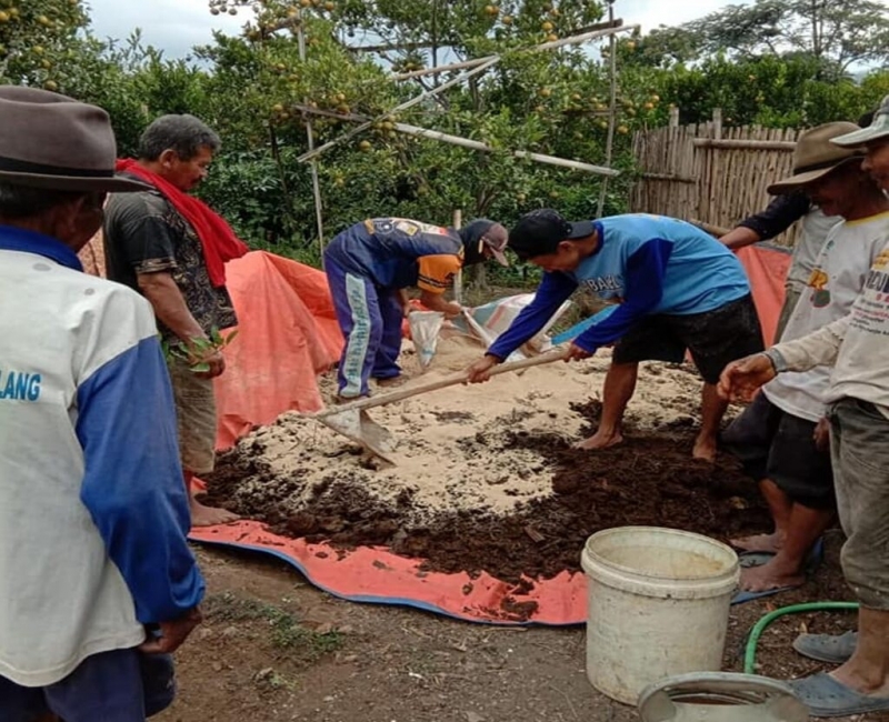 pelatihan ternak sapi jawa timur